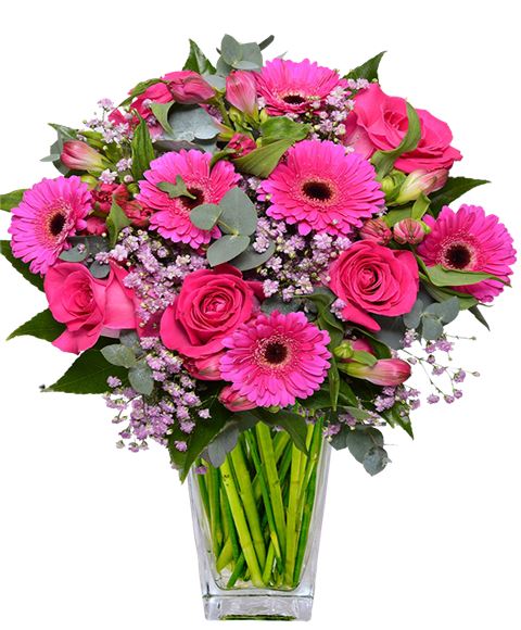 fiori per compleanno Piacenza