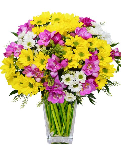 spedire fiori Piacenza
