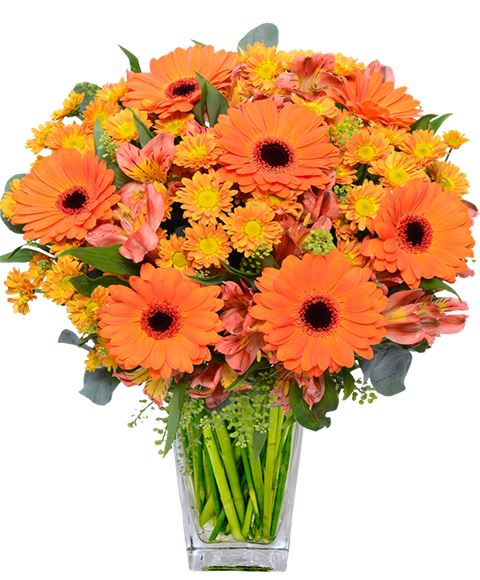 bouquet fiori arancio compleanno