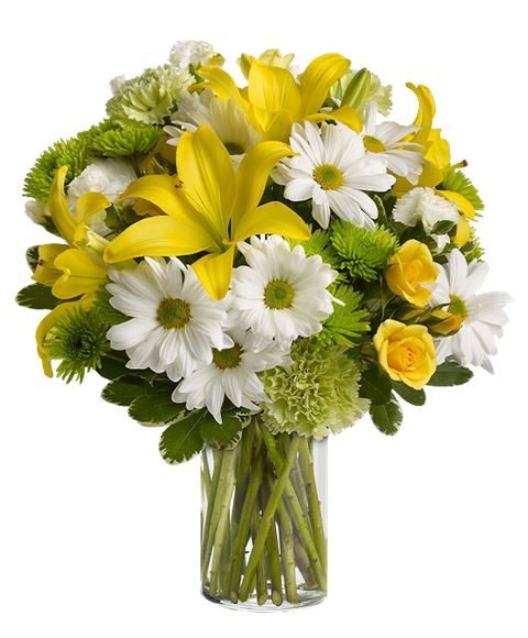 invia fiori per compleanno